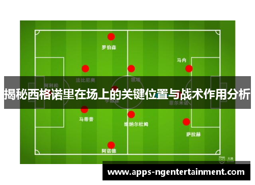 揭秘西格诺里在场上的关键位置与战术作用分析