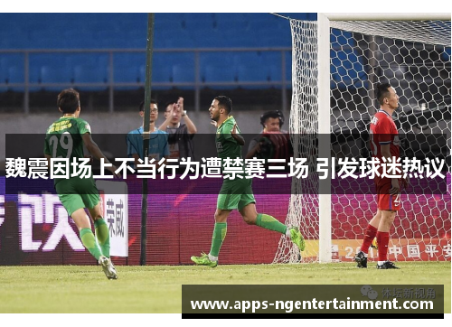 魏震因场上不当行为遭禁赛三场 引发球迷热议