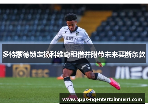 多特蒙德锁定扬科维奇租借并附带未来买断条款